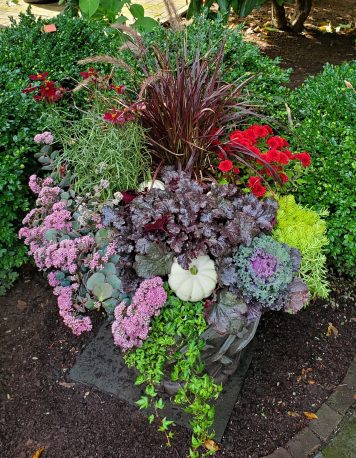 20241004_130417 resize copy